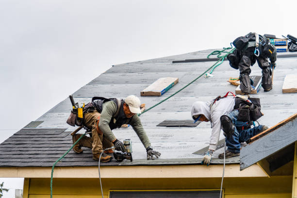 Professional Gutter Installation technician working in Williams, IA